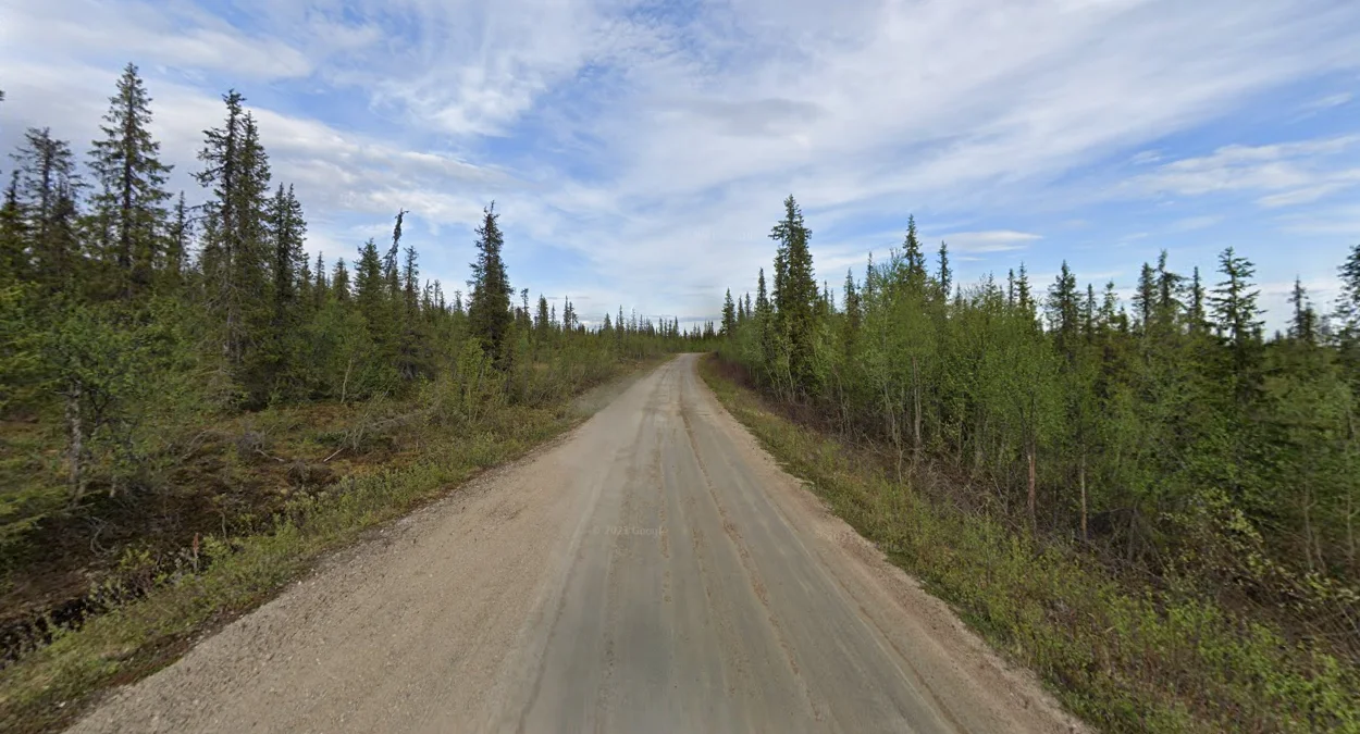 極北部細弱的北方樹林