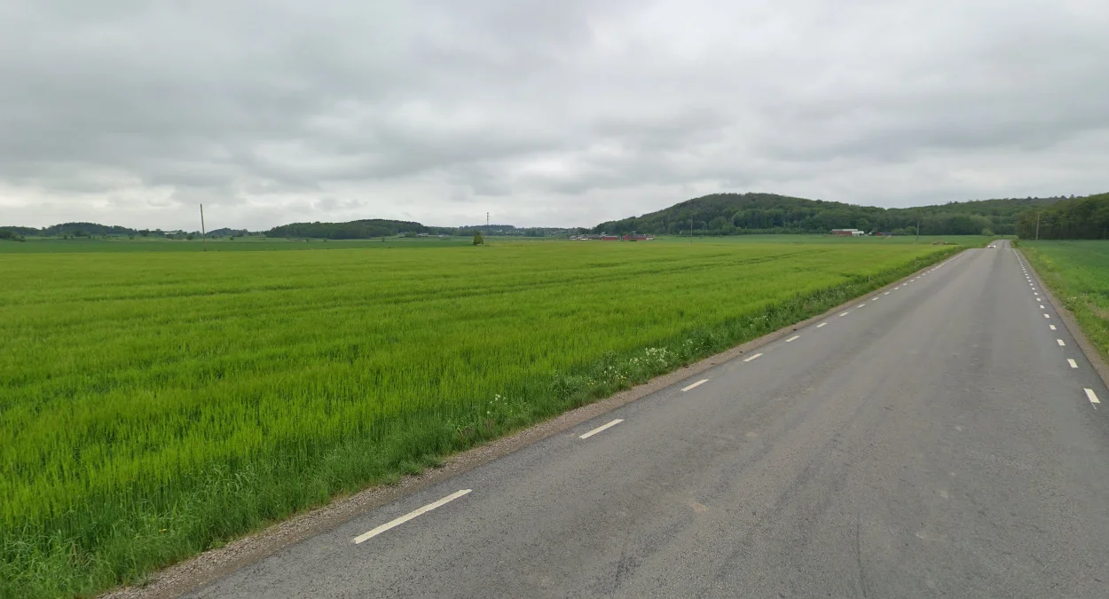 西海岸遠處的森林山丘