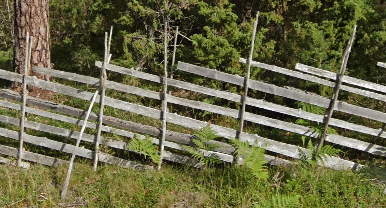 哥特蘭島獨特的楔形木柵欄