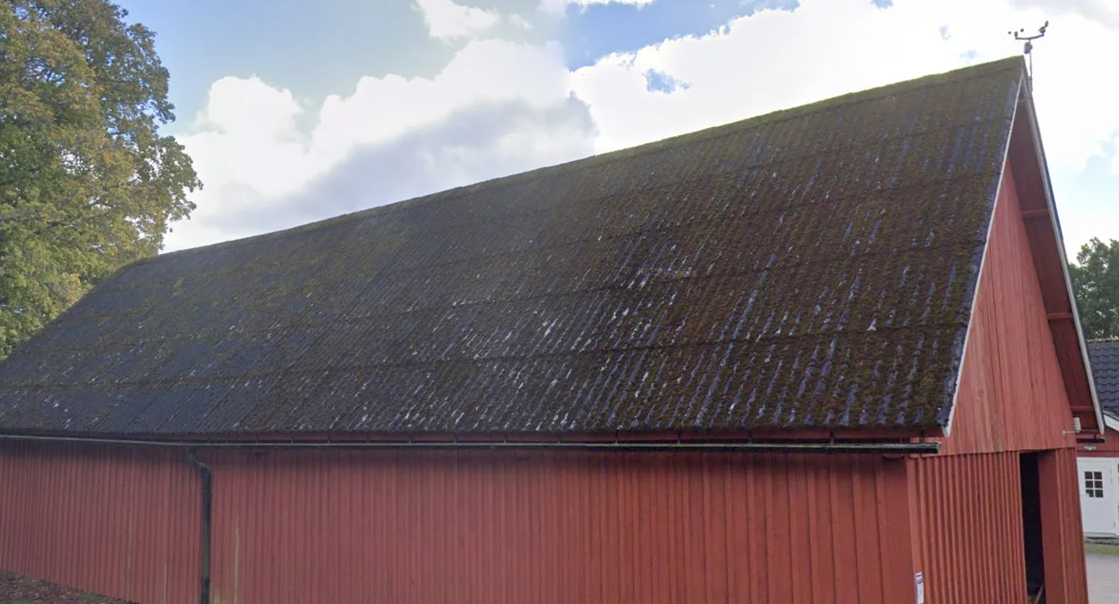 南部長苔蘚的波紋金屬屋頂