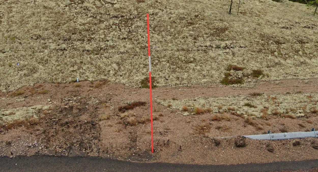 橙色雪桿與白色反光片