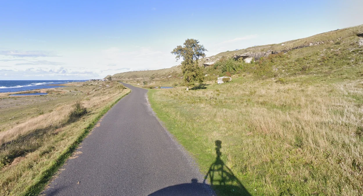 哥特蘭島南端的草坡山脊