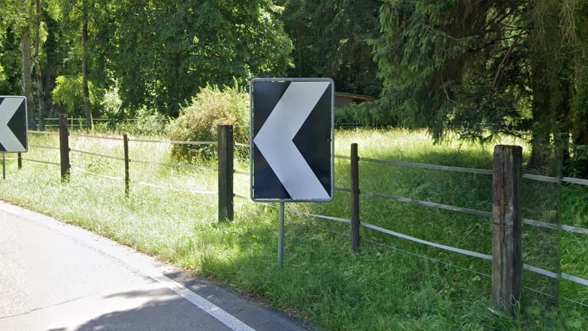 黑白人字形標誌