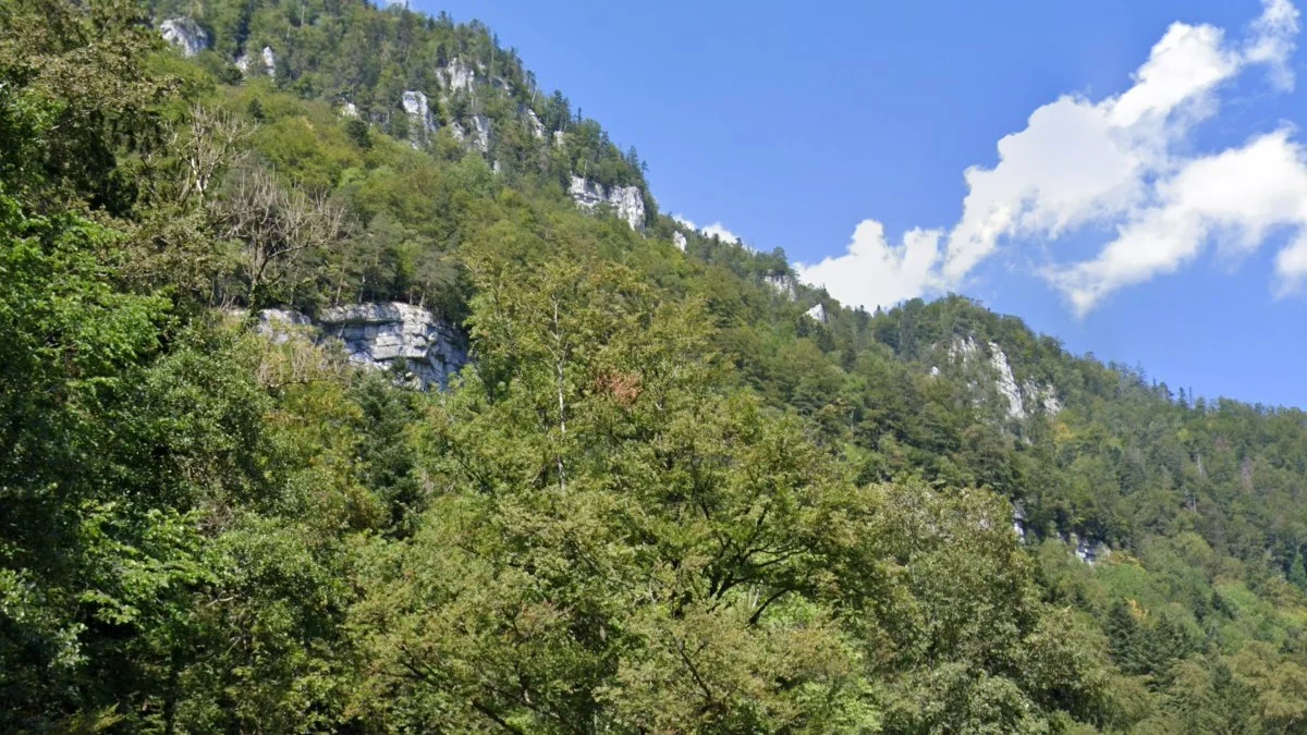 汝拉山脈裸露石灰岩