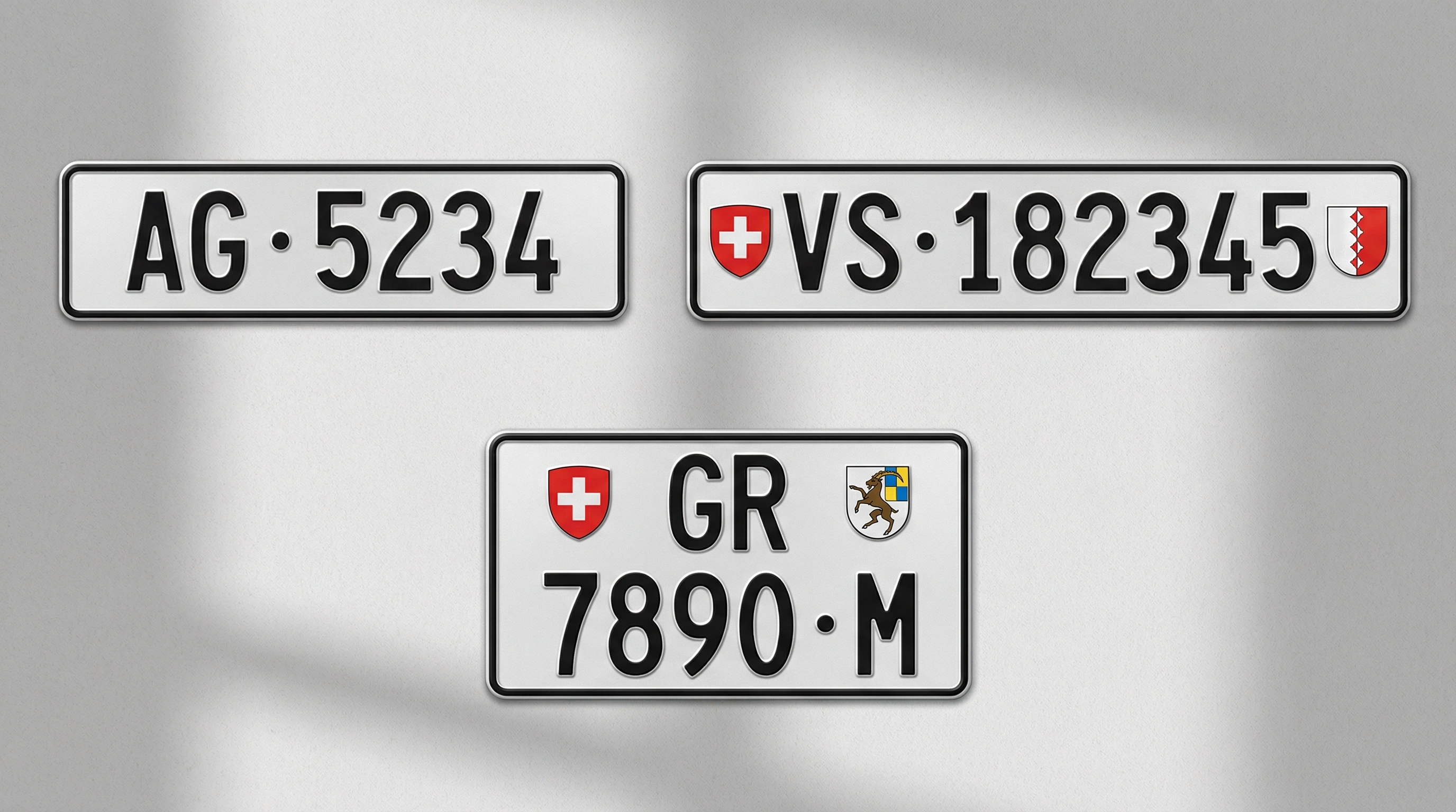 瑞士獨特白色車牌