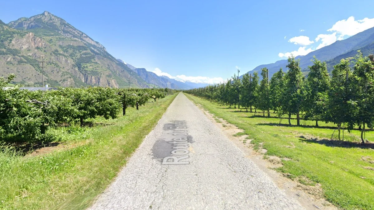 馬蒂尼山谷果園