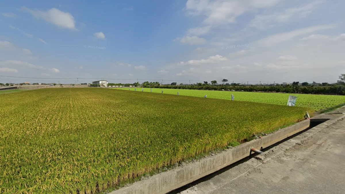 中西部平原農田