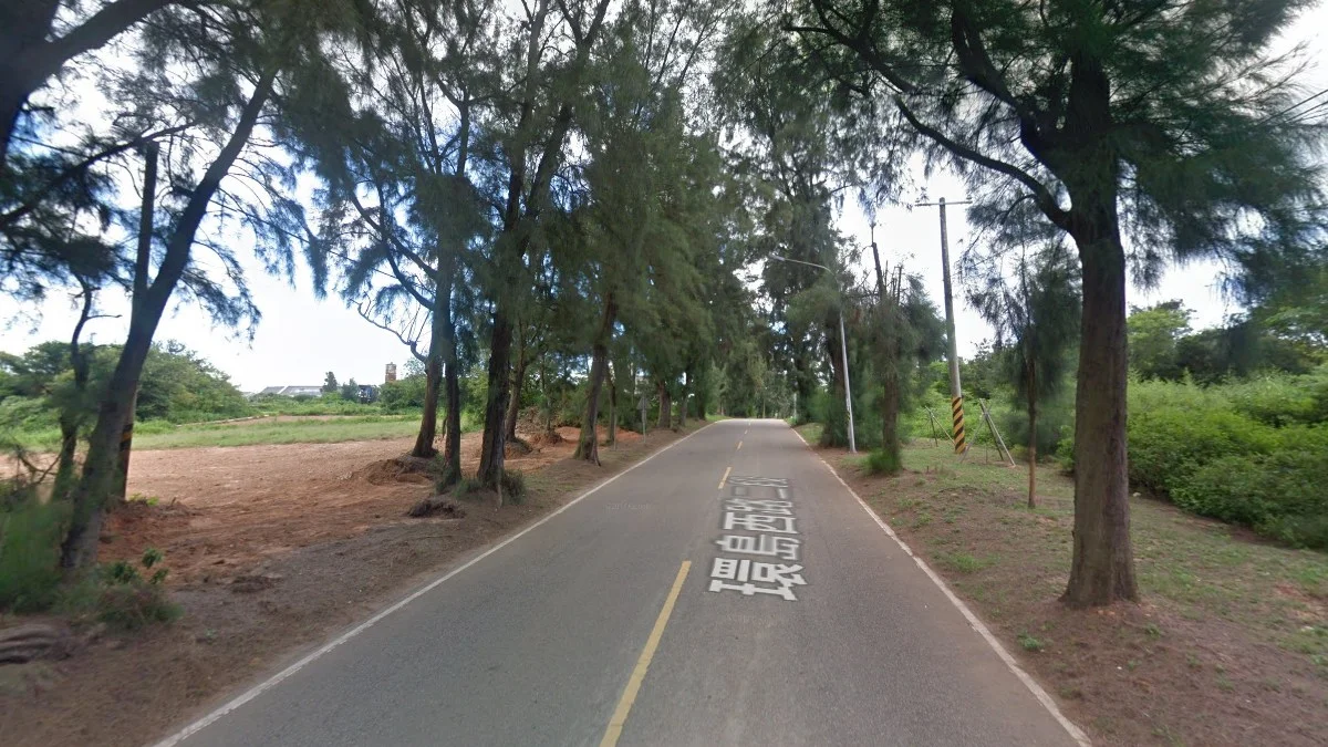 金門毛葉樹與紅土