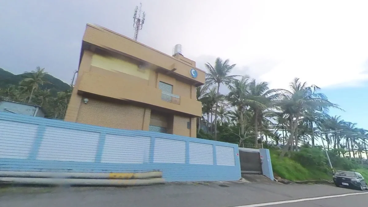 南部海岸椰子樹