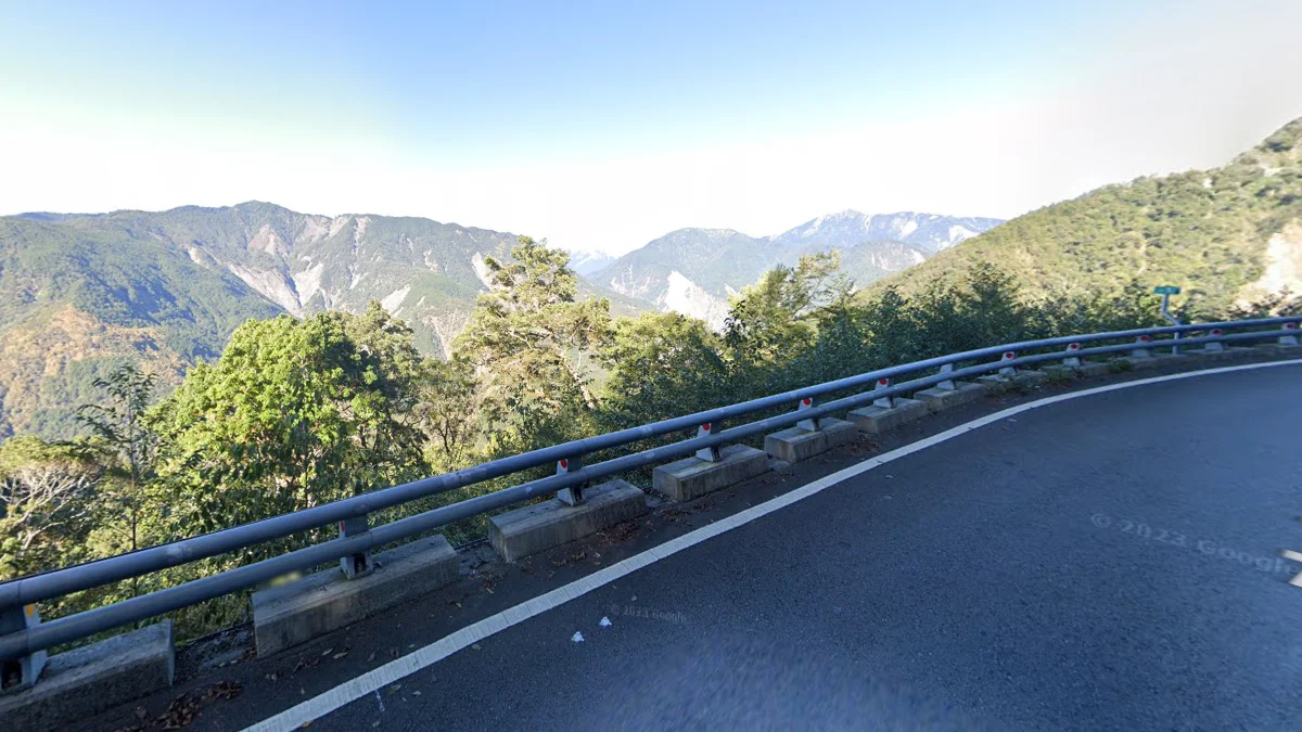 玉山國家公園針葉林道