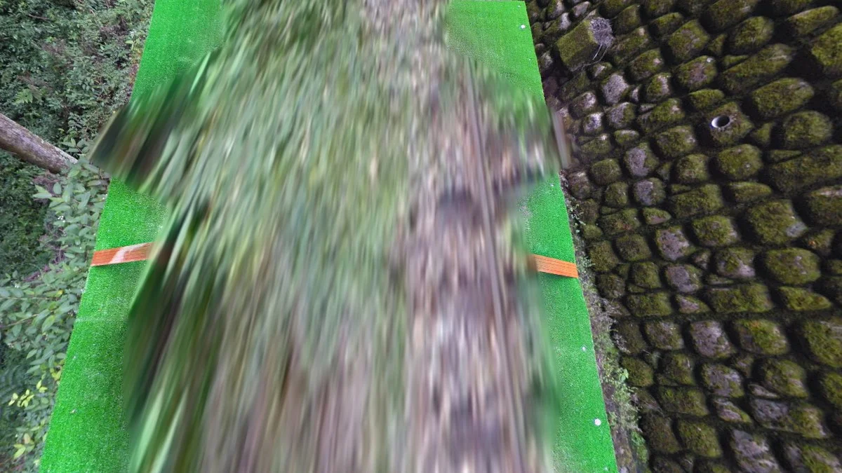 嘉義阿里山綠色火車