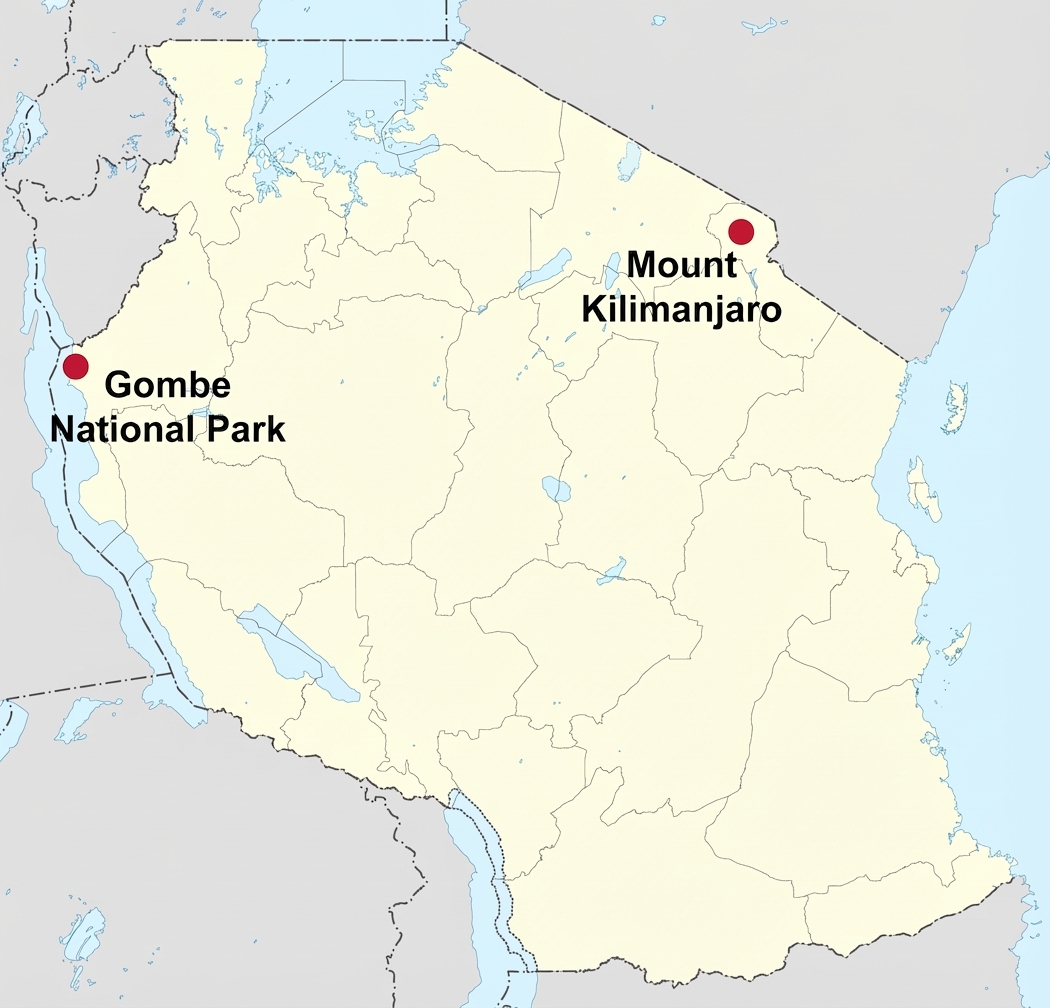 極度有限的街景覆蓋