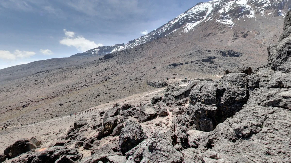 吉力馬札羅高海拔景觀