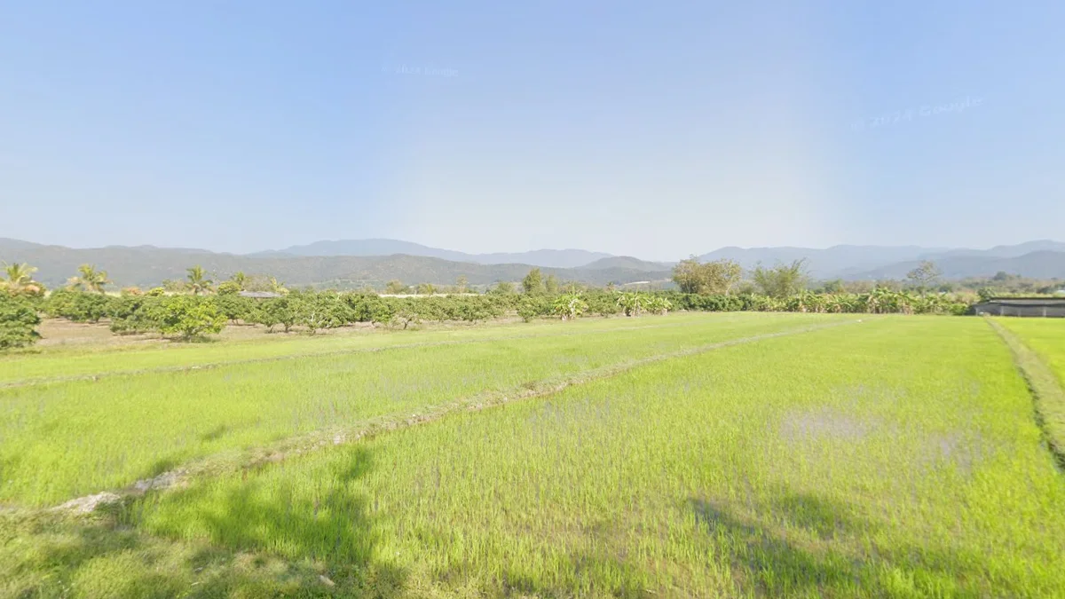 清邁帕堯區山谷