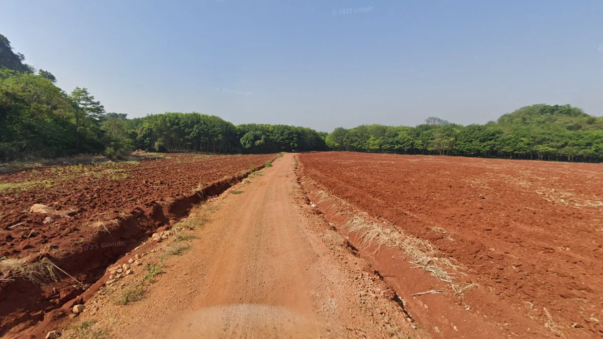 北碧府深紅色田地