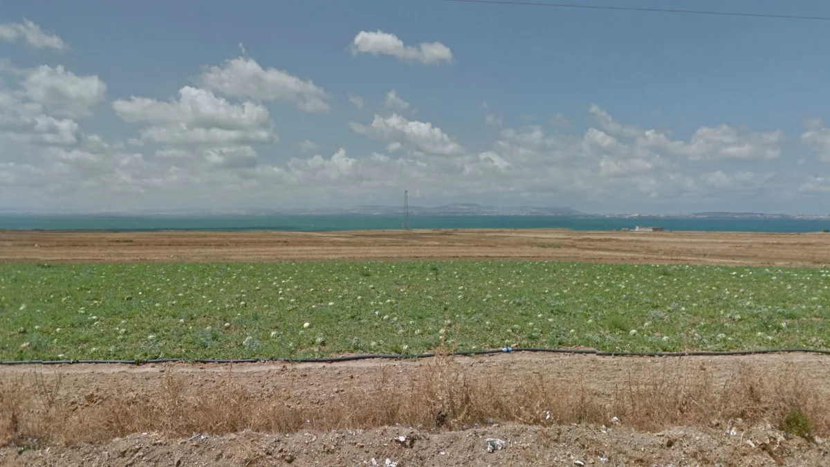 比塞大湖藍綠色水域