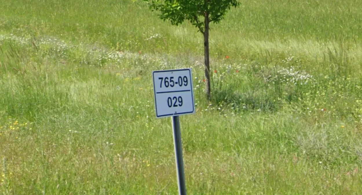 O型與D型道路標誌