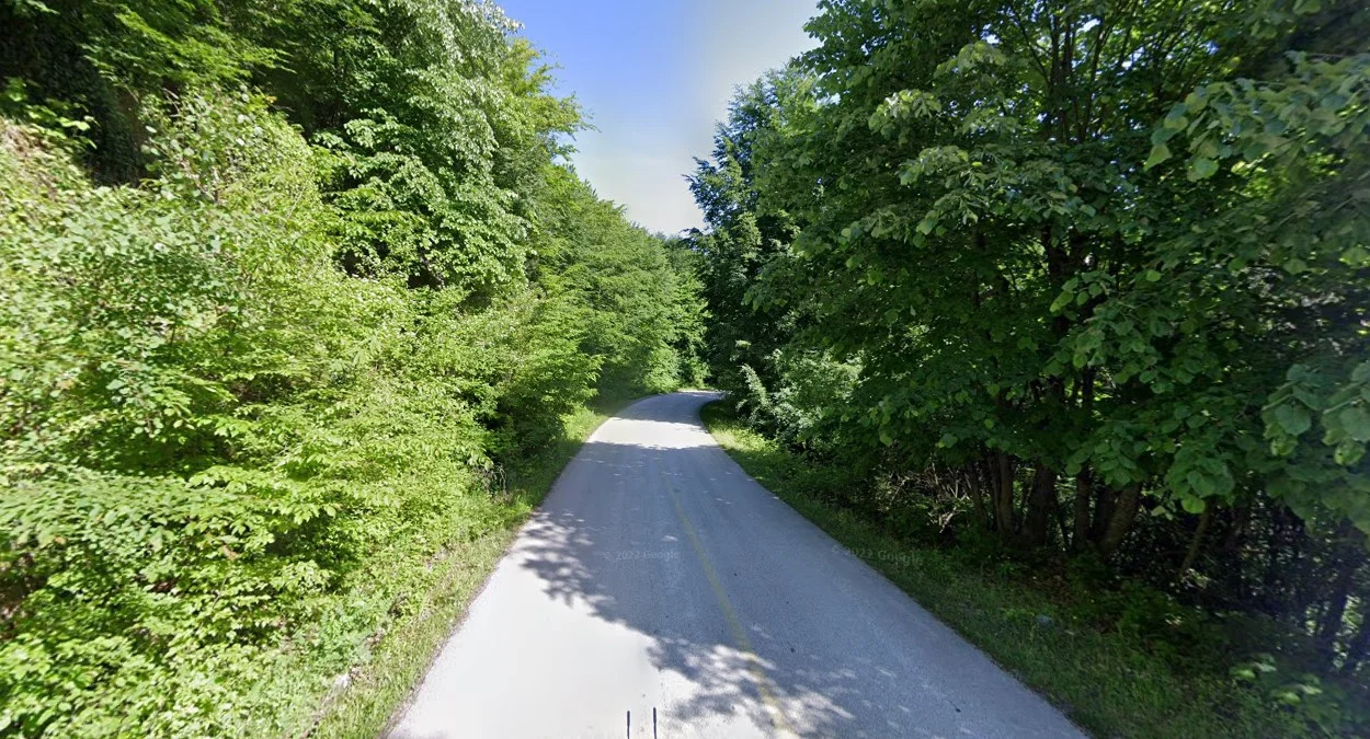 北部茂盛森林景觀