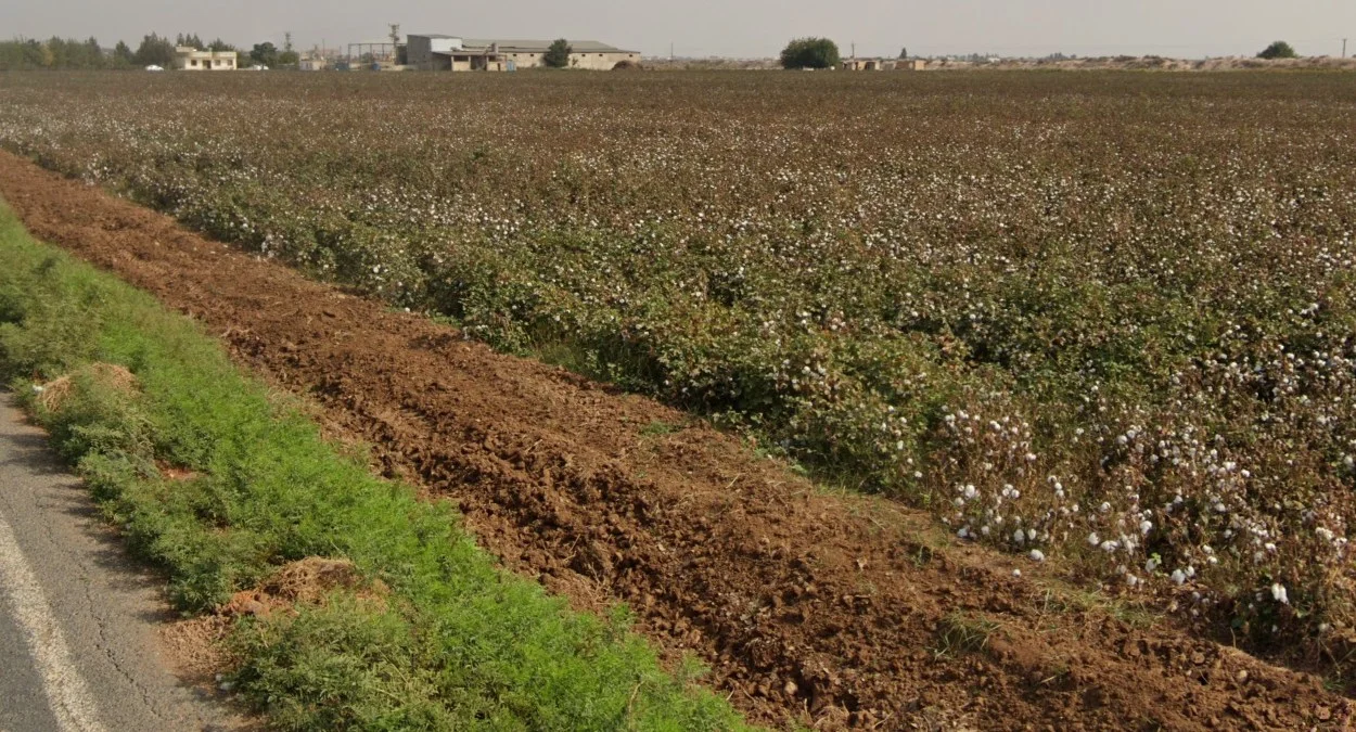尚勒烏爾法棉花產區
