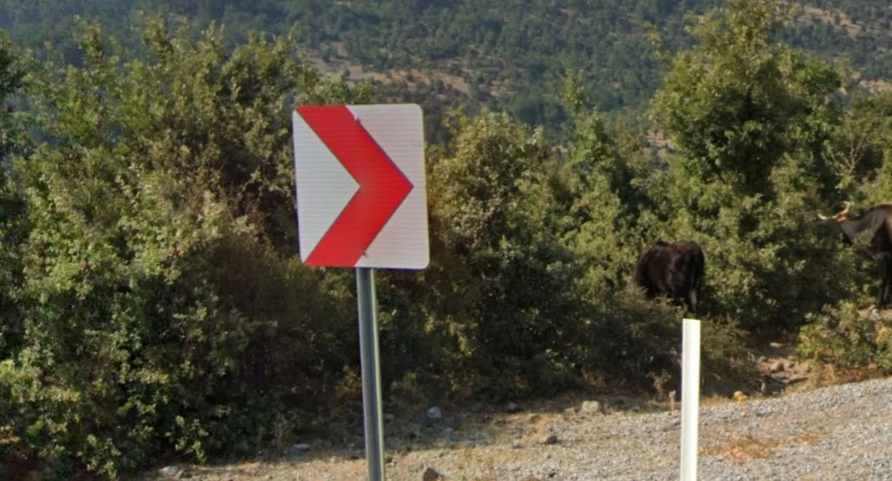 紅底白箭導向標誌