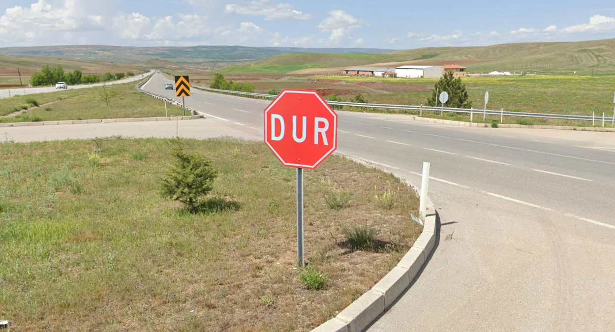 獨特「DUR」停車標誌