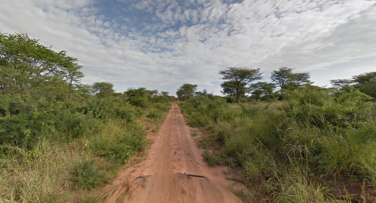 基德波南部森林路段