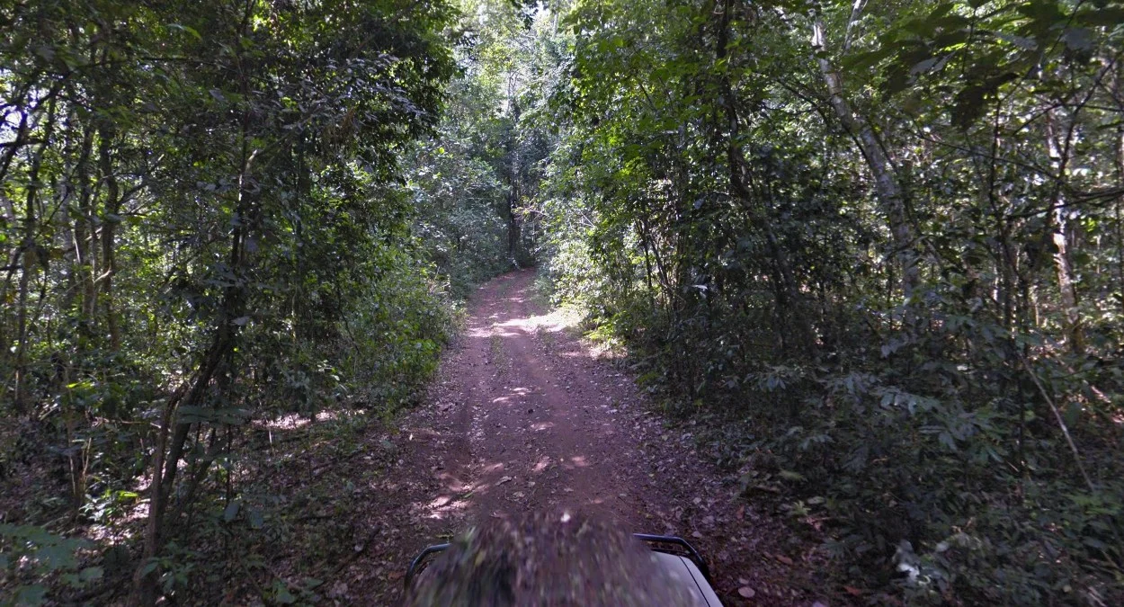 基巴萊小型森林路