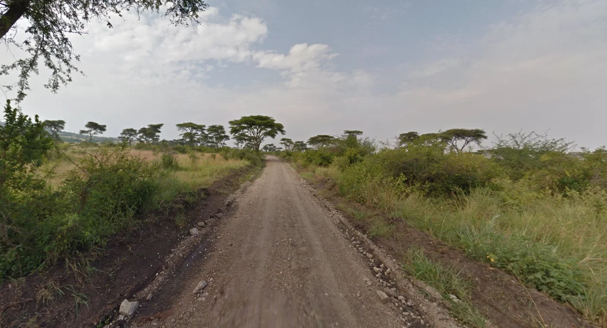 伊麗莎白女王公園非紅色泥土