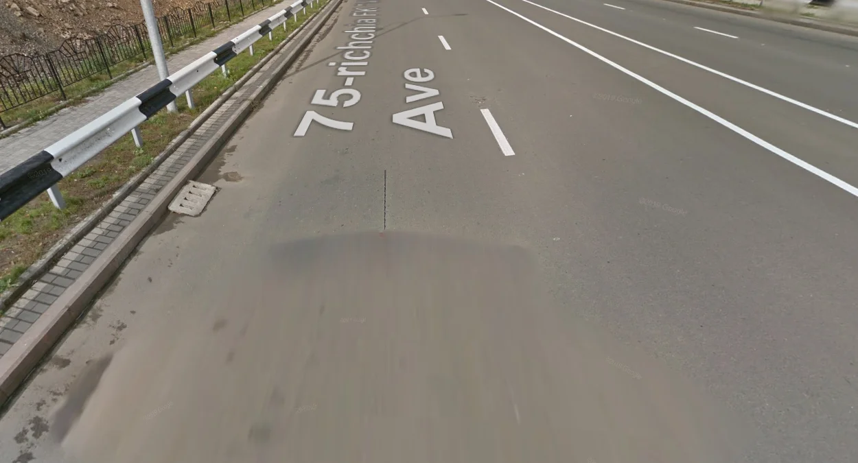 2011年黑白街景車