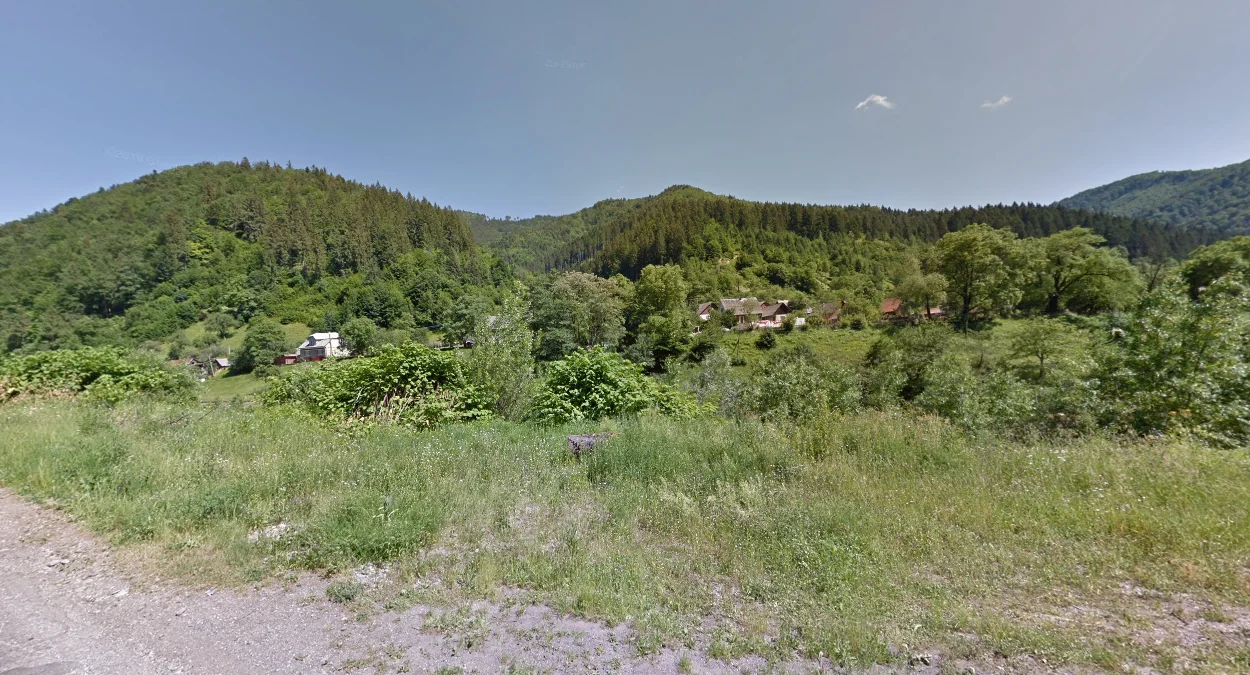 喀爾巴阡山脈多山森林