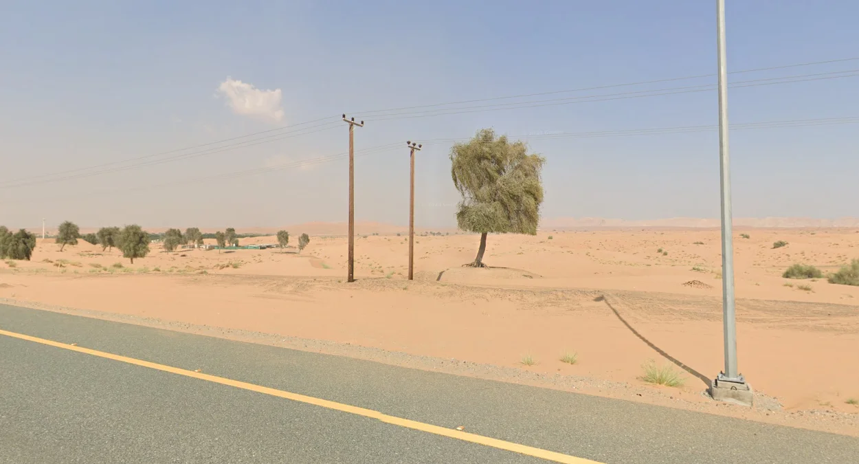 深棕色木製電線桿