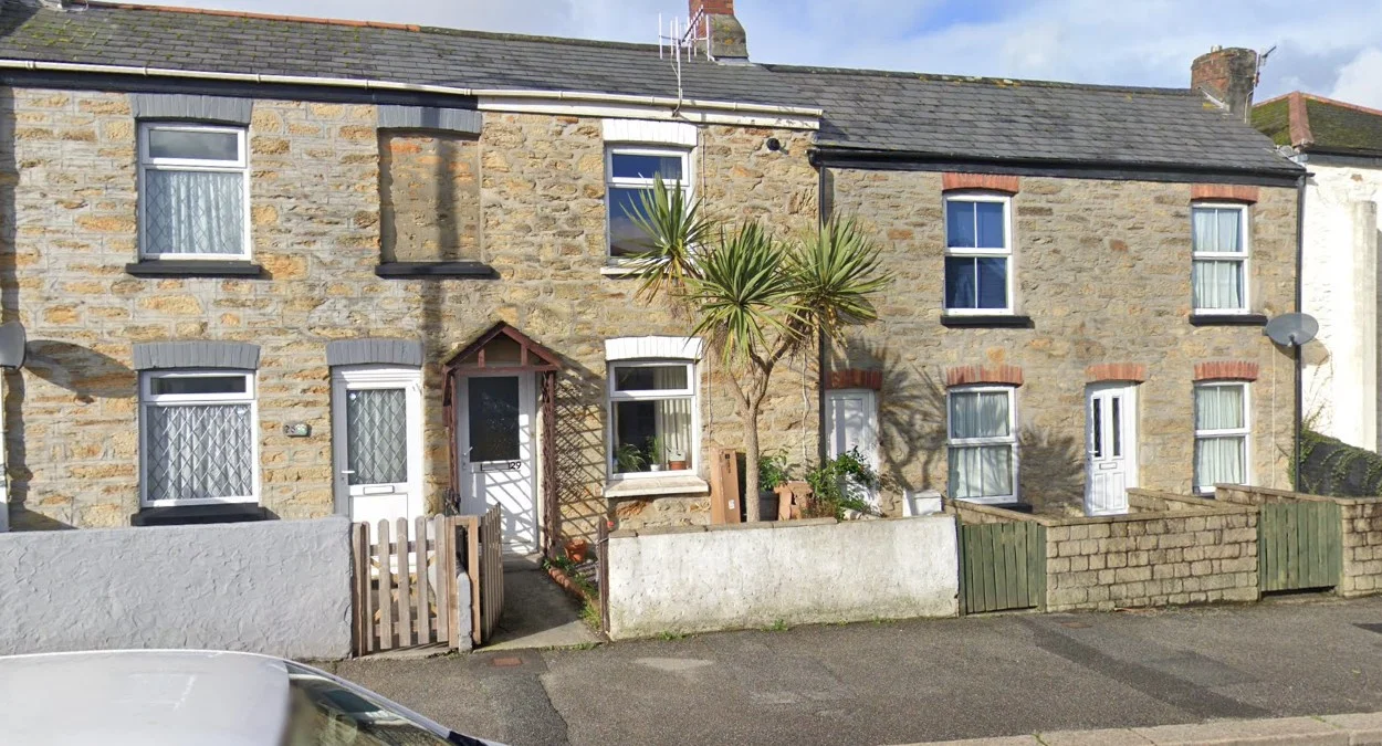 西南沿海康沃爾棕櫚