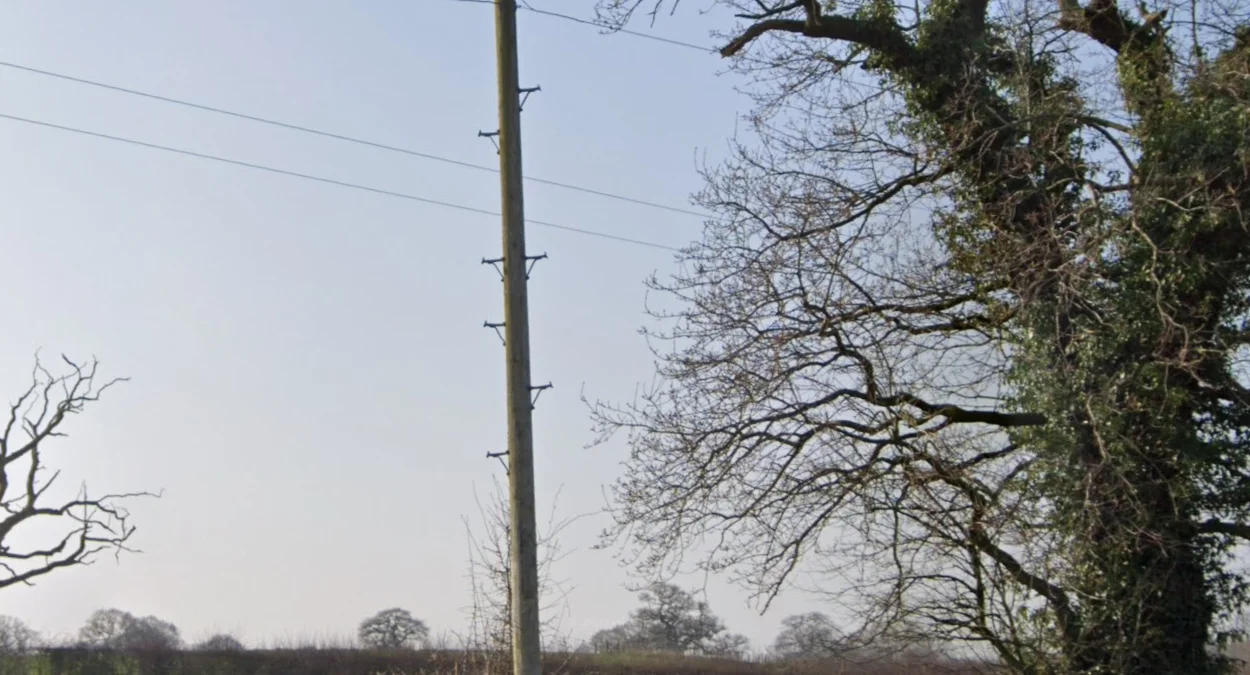 帶桿梯的木製電線桿