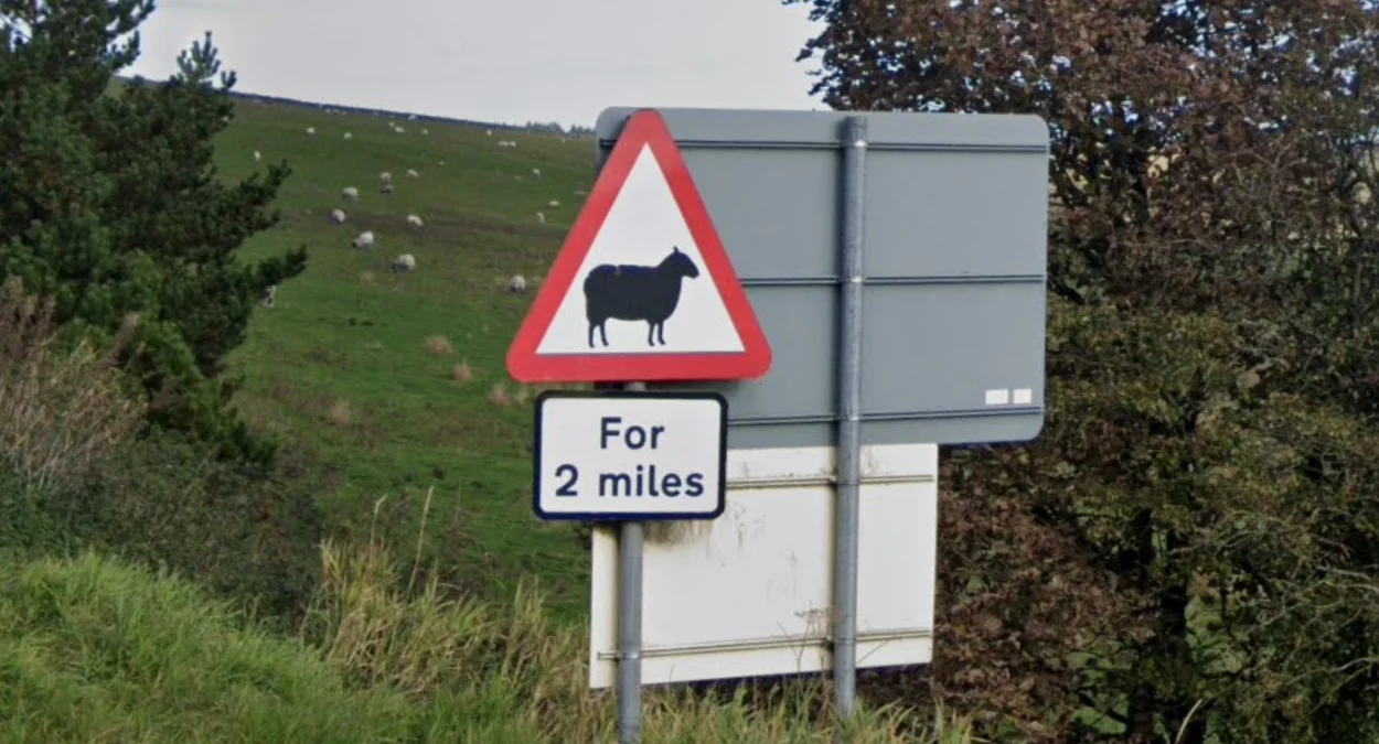 紅邊白底三角形警告標誌