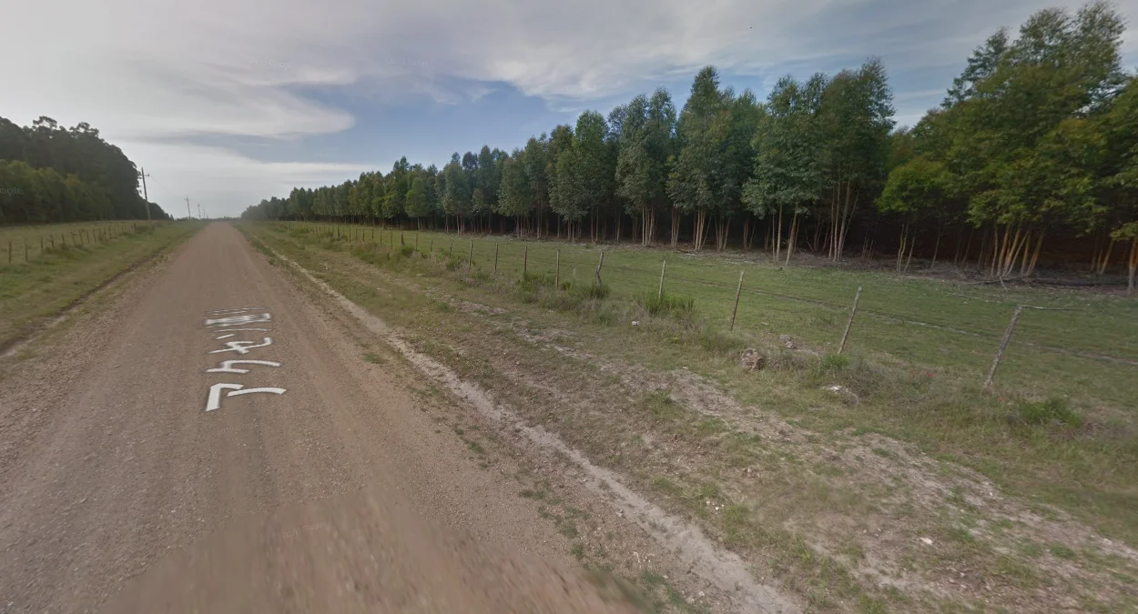 鄉村植樹區特徵