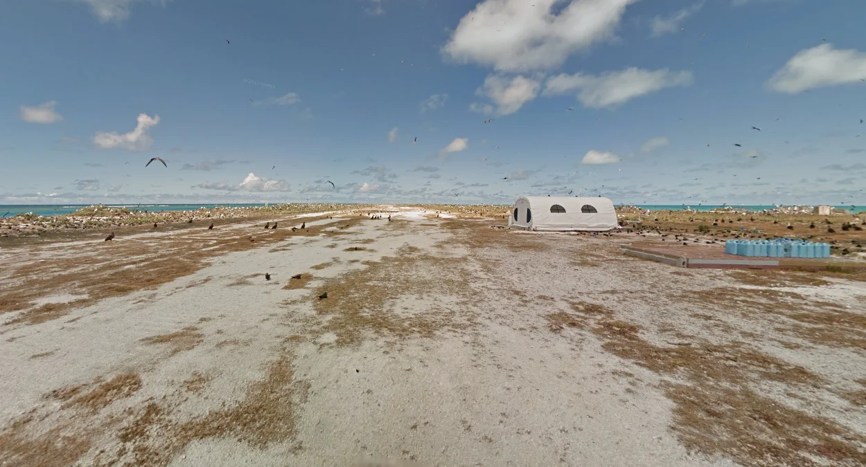 法屬護衛礁大量鳥類