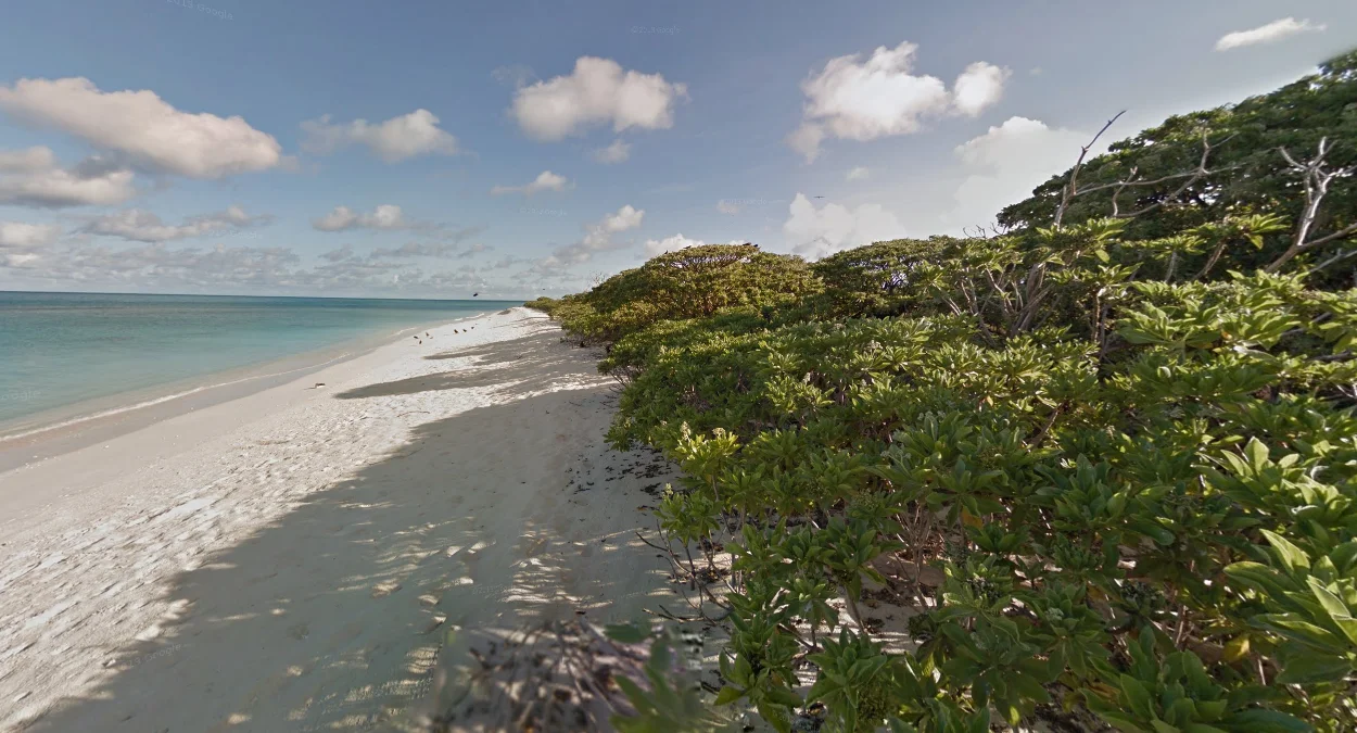 利西安斯基島大灌木叢