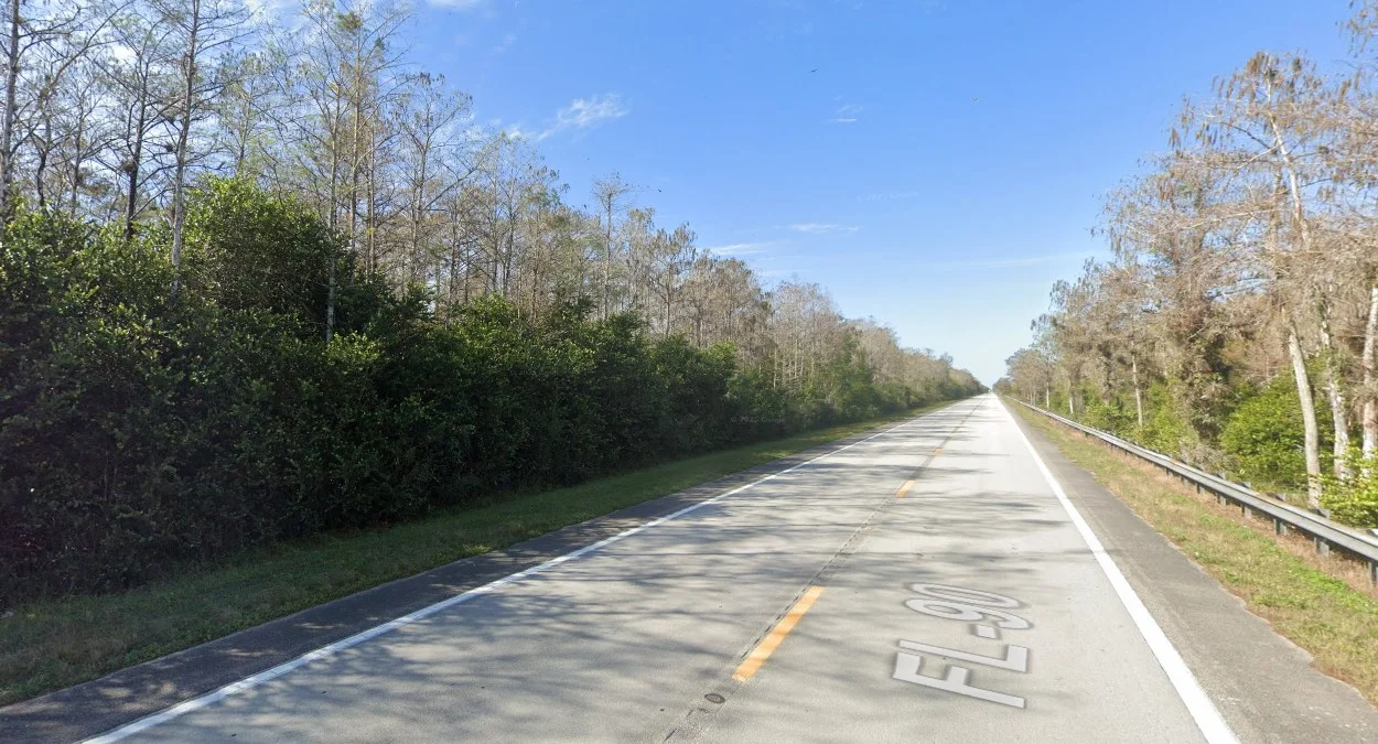 佛羅里達深南部叢林