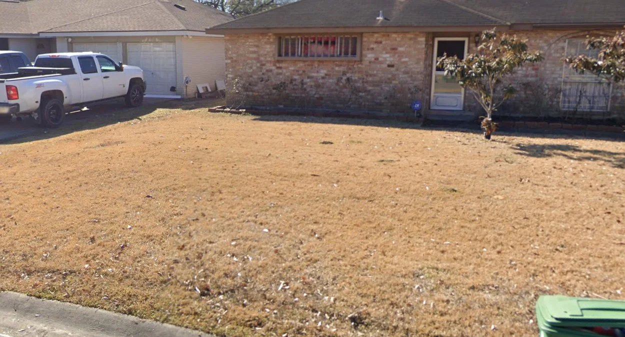 南部草坪冬季枯黃