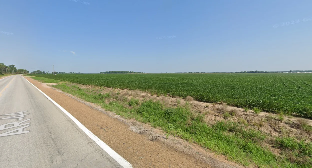 密西西比河下游谷地