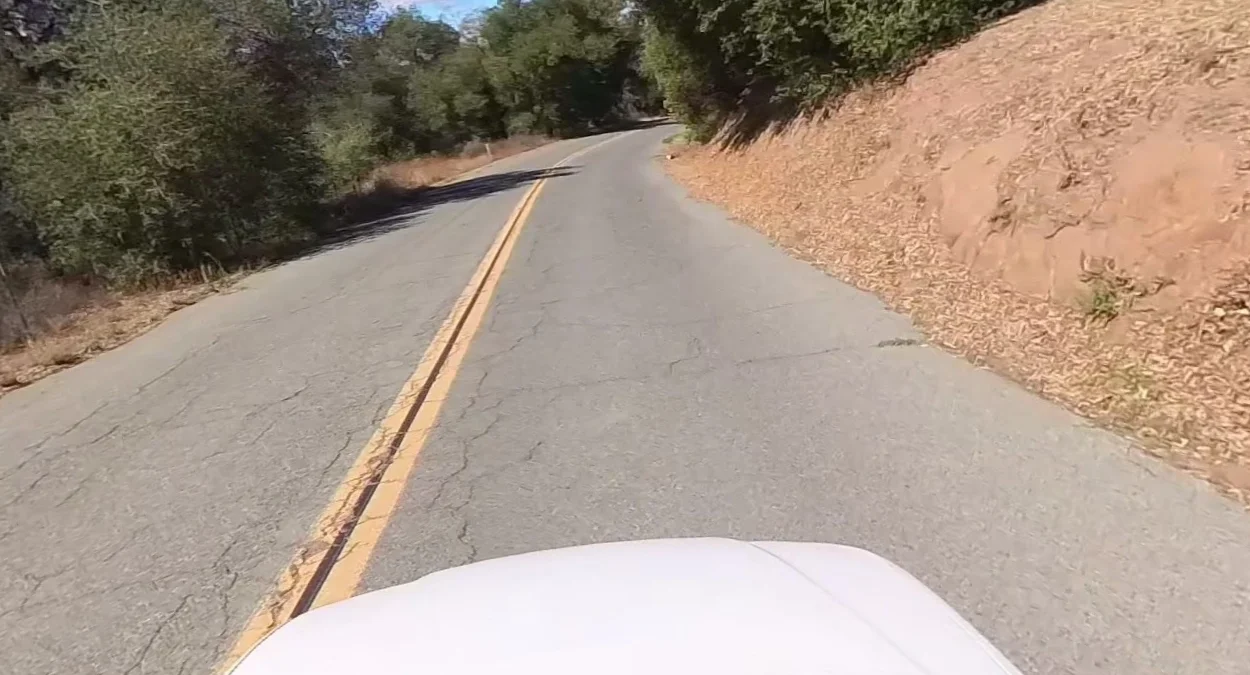 加州雙黃線間黑條