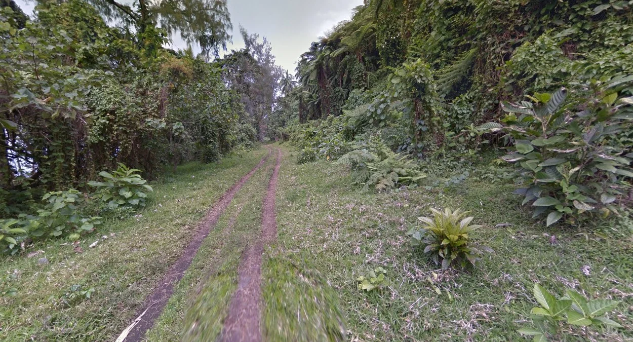 海灘東側的泥土車轍路