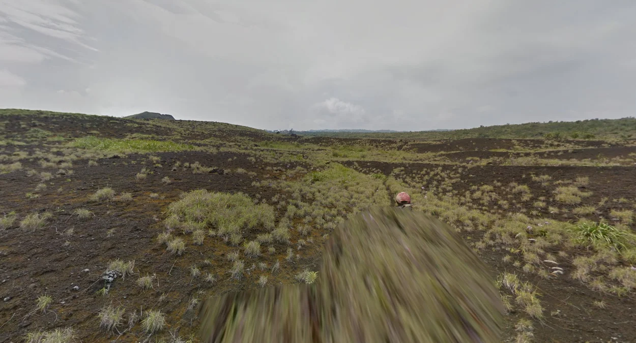 火山東側的深棕色土壤高原