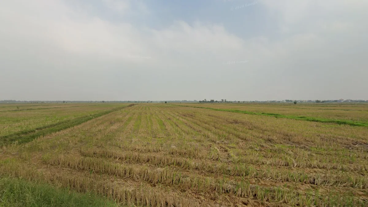 紅河三角洲平坦農田