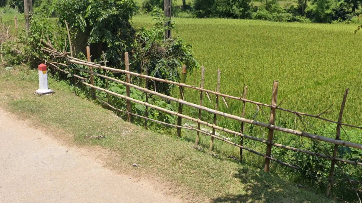 北部網格狀木柵欄