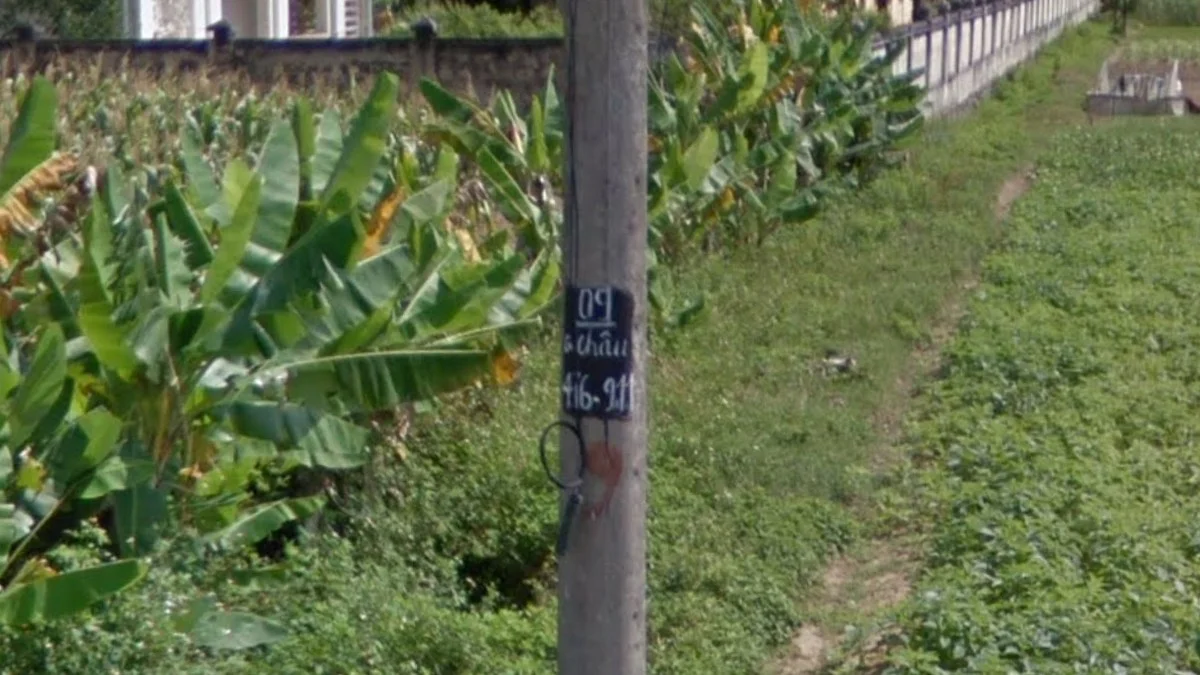 北部黑色電線桿貼紙