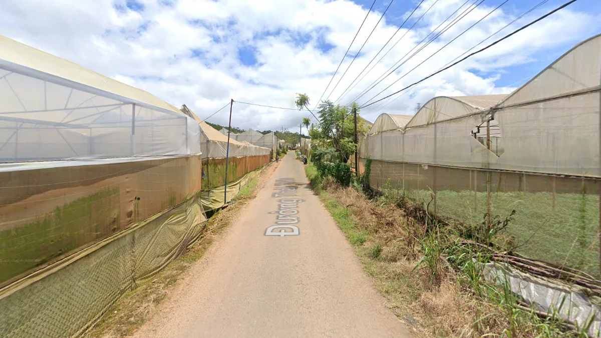 大叻周圍溫室密集